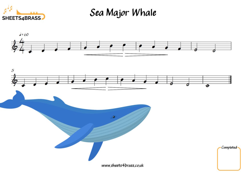 Sea Major Scale Trumpet Solo